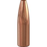 SPEER Palle Varmint Hallow Point 257" 100gr HP #1407 (100pz)