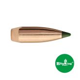 SIERRA Palle BlitzKing 243" 70gr SP #1507 (100pz)