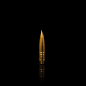 WINDCUT Palle Tactical Solid Match Banded 308" 180gr (50pz)