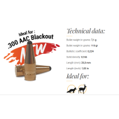 FOX Palle Classic Hunter .30 (.308) .300 AAC Blackout 110gr (50pz)