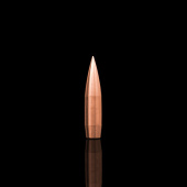 WINDCUT Palle Tactical Long Range 375" 335gr (50pz)