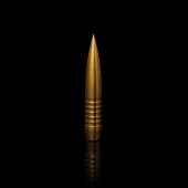 WINDCUT Palle Tactical Solid Match Banded 375" 445gr (50pz)