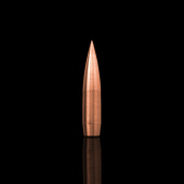 WINDCUT Palle Tactical Long Range 408" 420gr (50pz)