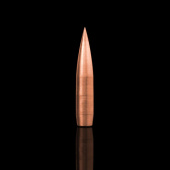 WINDCUT Palle Tactical Langstrecken 408" 455gr (50pz)