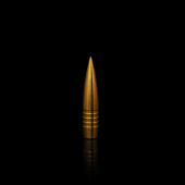 WINDCUT Palle Tactical Solid Match Banded 408" 430gr (50pz)