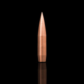WINDCUT Palle Tactical Long Range 416" 510gr (50pz)