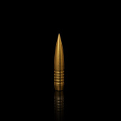 WINDCUT Palle Tactical Solid Match Banded 416" 495gr (50pz)