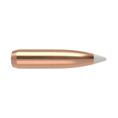 NOSLER Palle Accubond 277" 150gr BT #54801 (50pz)