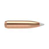NOSLER Geschoss AccuBond 284" 140gr SP #59992 (50pz)