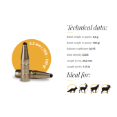 FOX Palle Classic Hunter 6.5mm (.264) 100gr (50pz)