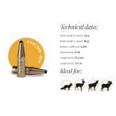 FOX Palle Classic Hunter 6mm (.243) 80gr (50pz)