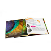 Mondo invisibile. Libro educativo. Copertina rigida