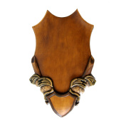 Porta Trofeo Ludwig Colorato 20x15cm