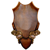 Porta Trofeo Scudetto in Legno Colorato  Ludwig 50x38cm