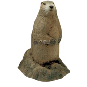 Sagoma per Tiro con Arco 3D Sagoma Marmotta