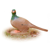 Silueta para Tiro con Arco 3D Faisán