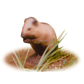 3D-Bogenscheibe Nutria