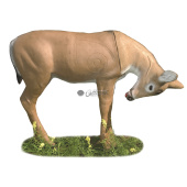 Silueta para Tiro con Arco 3D Cierva Girada