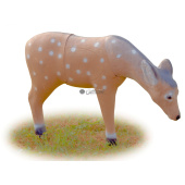 Sagoma per Tiro con Arco 3D Daino Che Beve