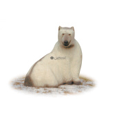 Silueta para Tiro con Arco 3D Oso Blanco