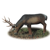 Sagoma per Tiro con Arco 3D Cervo Rosso Che Beve