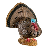 Sagoma per Tiro con Arco 3D 41611 Woodland Strutting Turkey