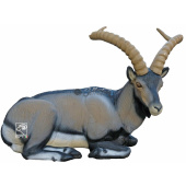 3D Archery Target Iberian Ibex Lying Down