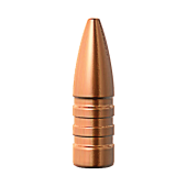 BARNES Palle TSX 224" .22 cal 53gr FB #30180 (50pz)