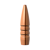 BARNES Palle TSX 224" .22 cal 62gr BT #30190 (50pz)