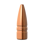 BARNES Palle TSX 277" .270 cal 85gr FB #30254 (50pz)