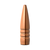 BARNES Palle TSX 308" .30 cal 150gr BT #30347 (50pz)