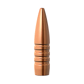 BARNES Palle TSX 308" .30 cal 165gr BT #30349 (50pcs)