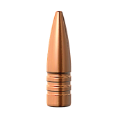 BARNES Palle TSX 311" .303 cal 150gr FB #30393 (50pz)