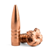 BARNES Palle TSX 243&quot; 6mm 85gr BT #30212 (50pcs)