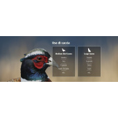 H&amp;N Grizzly 9.0mm 5.3g/82gr (60pcs)