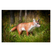 Sagoma per Tiro con Arco 3D Volpe in Piedi