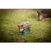 3D-Bogenschießscheibe Stehendes Frischlingsmodell