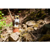 3D-Bogenschießziel Eule