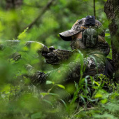 WALKERS Elektronische Razor Quad Muff Camo Headset