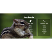 H&amp;N-Sport Field Target Trophy 4.52mm 0.56g/8.64gr (500pcs)