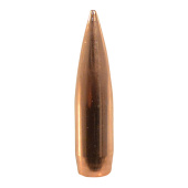 NOSLER Geschosse RDF 338&quot; 300gr HP BT #53445 (100pz)