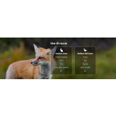 H&amp;N-Sport Baracuda 6.35mm 2.00g/30.86gr (150pcs)