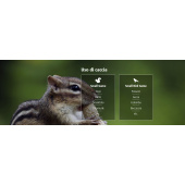 H&amp;N-Sport Rabbit Magnum II 4.50mm 1.02g/15.74gr (200pcs)