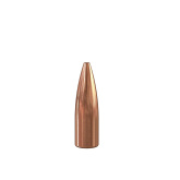 SPEER Palle Varmint Hallow Point TNT 257" 87gr HP #1246 (100pz)