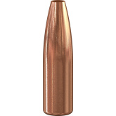 SPEER Palle Varmint Hallow Point 257" 100gr HP #1407 (100pz)