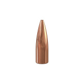 SPEER Palle TNT 284" 110gr HP Moly #1615 (100pz)