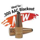 FOX Palle Classic Hunter .30 (.308) .300 AAC Blackout 110gr (50pz)