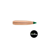 SIERRA Palle Tipped GameKing 264" 145gr TGK #4345 (100pz)