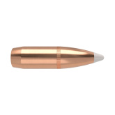 NOSLER Palle AccuBond 375" 300gr SP #53662 (50pz)