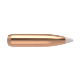 NOSLER Palle AccuBond 284" 160gr SP #54932 (50pz)